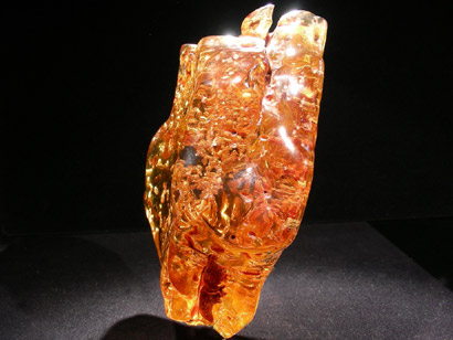 AMBRE AVEC INSECTES