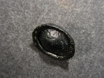 TECTITE BOUTON