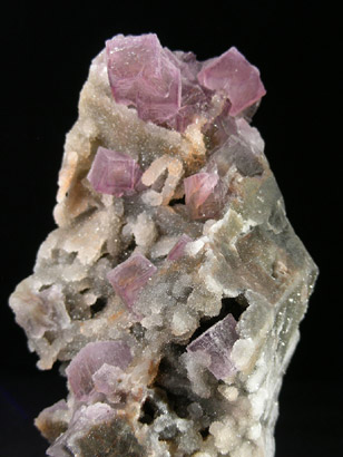 FLUORINE VIOLETTE