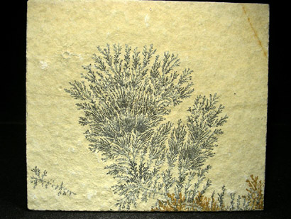 DENDRITE DE MANGANESE
