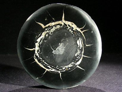 SEPTARIA