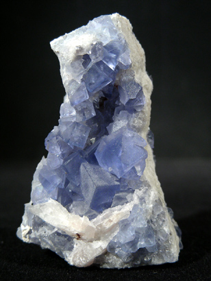 FLUORINE BLEUE