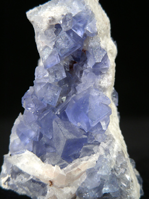 FLUORINE BLEUE