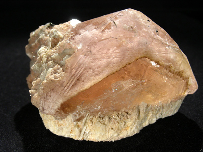 MORGANITE ROSE