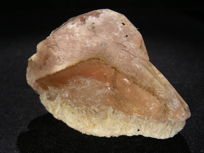 MORGANITE ROSE