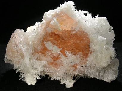 Fluorine rose