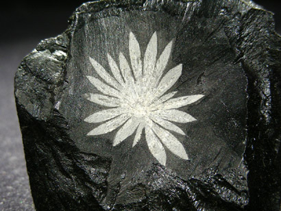 ANDALOUSITE