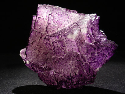 FLUORINE VIOLETTE