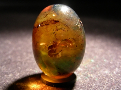 OEUF EN AMBRE