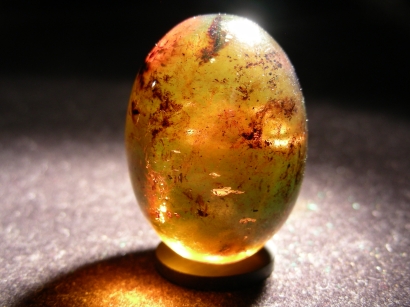 OEUF EN AMBRE