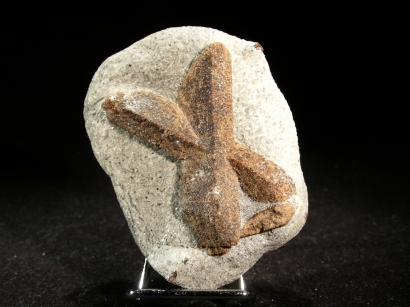STAURODITE MACLE SAINT ANDRE