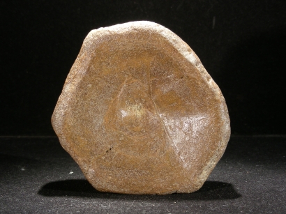 VERTEBRE ICHTYOSAUR OPHTALMOSAURUS