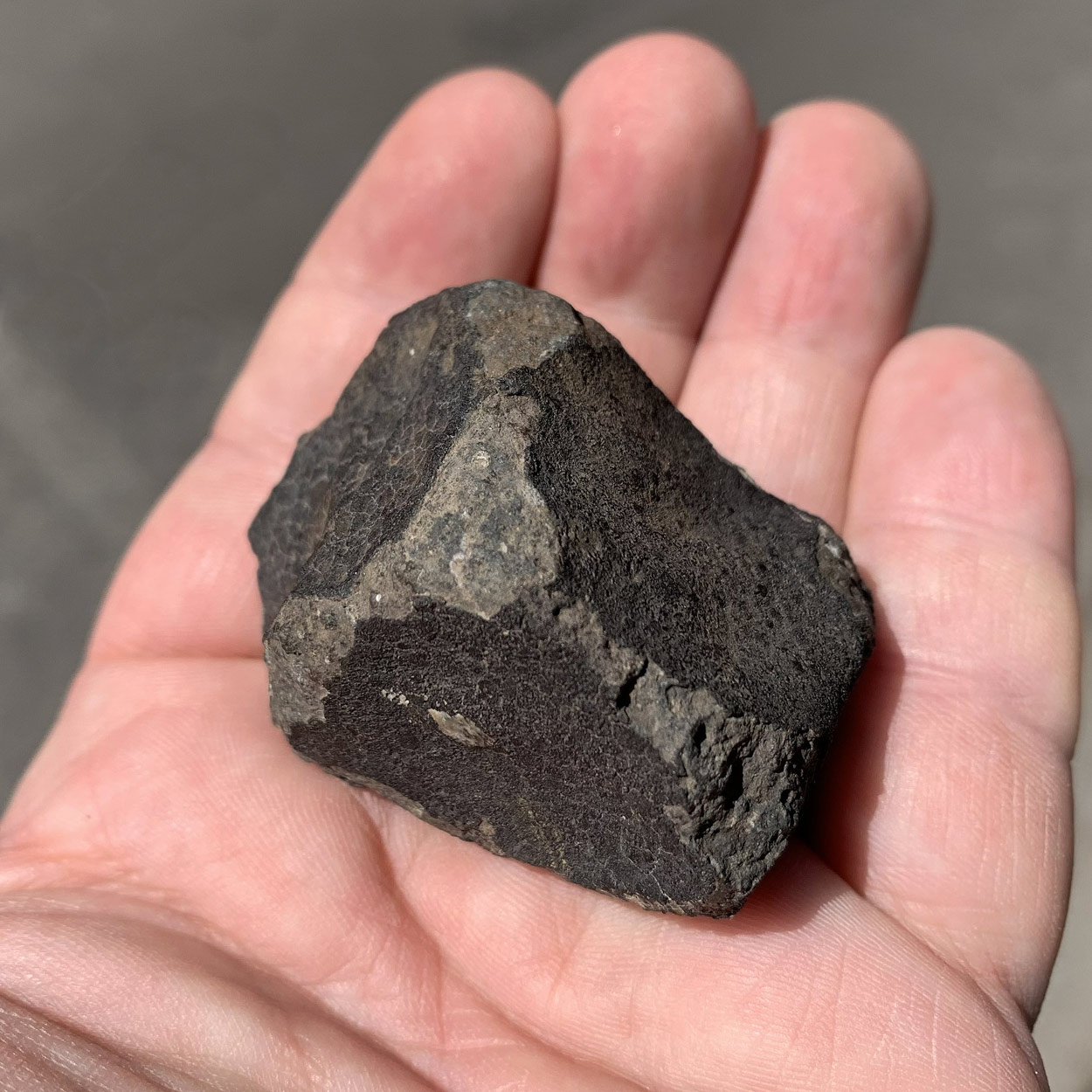 Chondrite