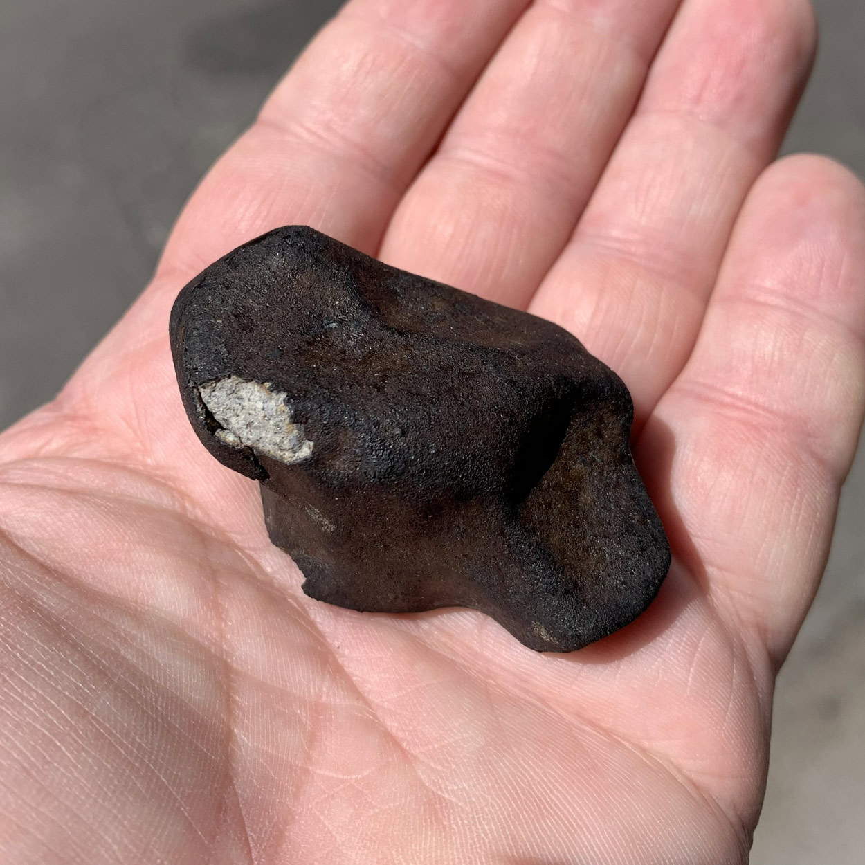 Chondrite récente