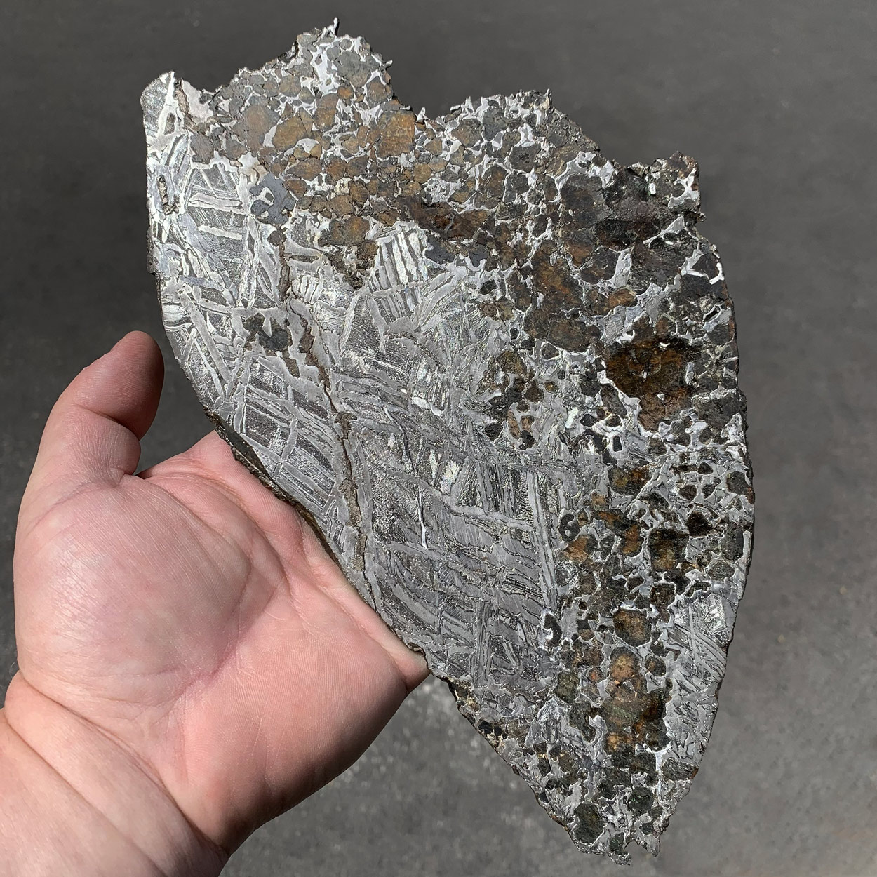 Pallasite