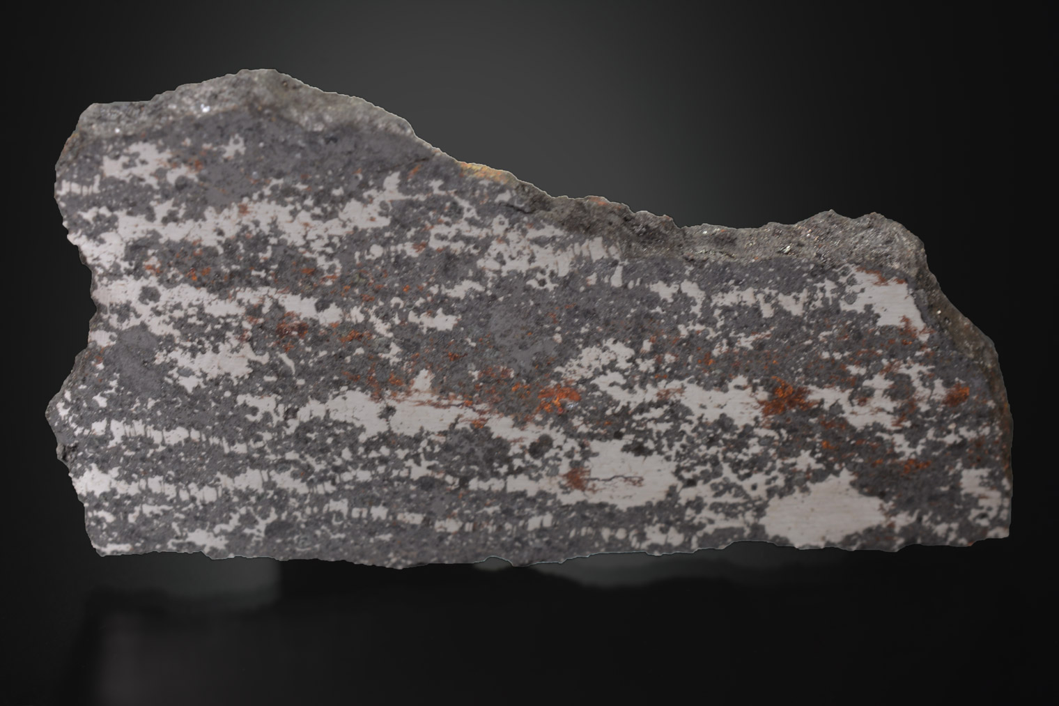 Météorite : Campo Del Cielo
