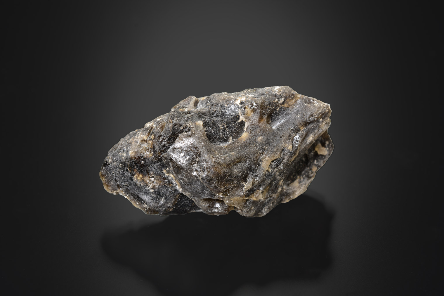 Impactite Darwin Glass