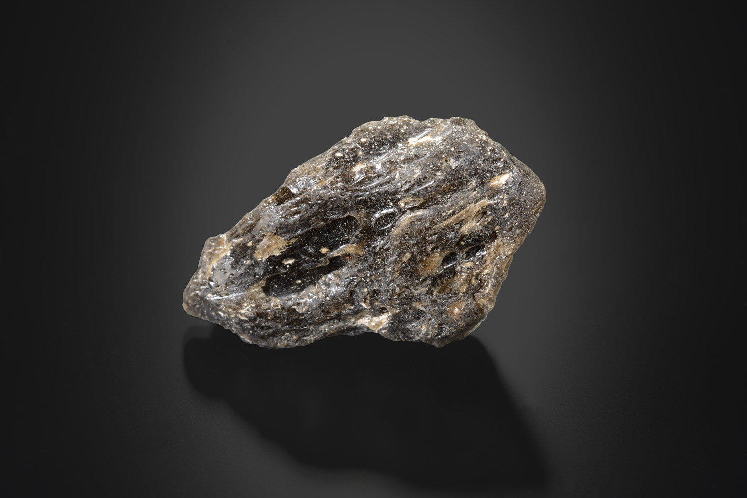 Impactite Darwin Glass