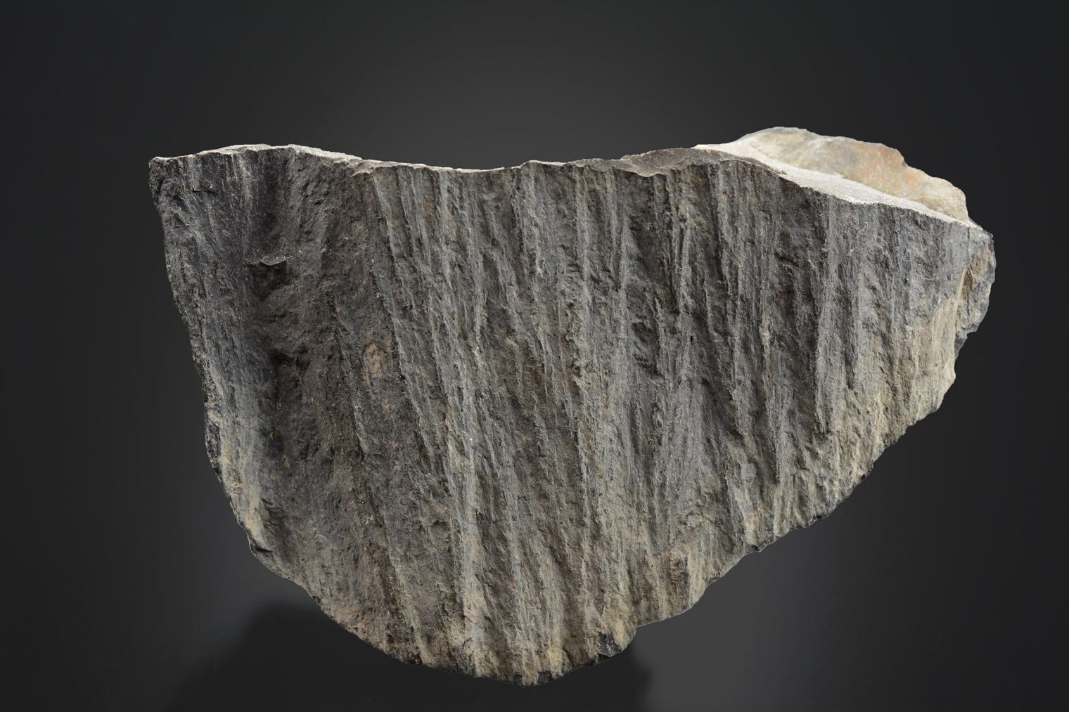 Shatter Cone Sudbury