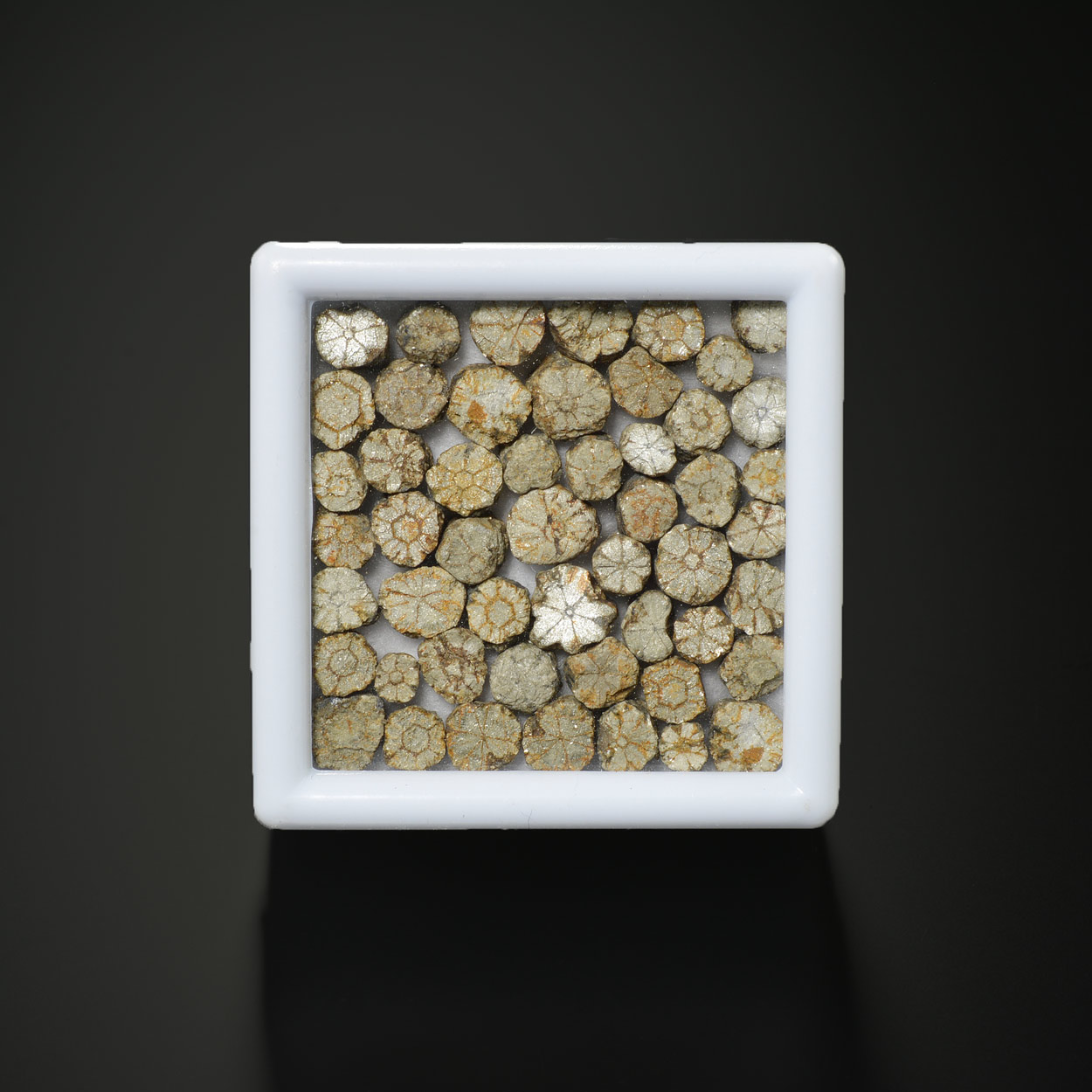 Cérasite « Sakura Stone »