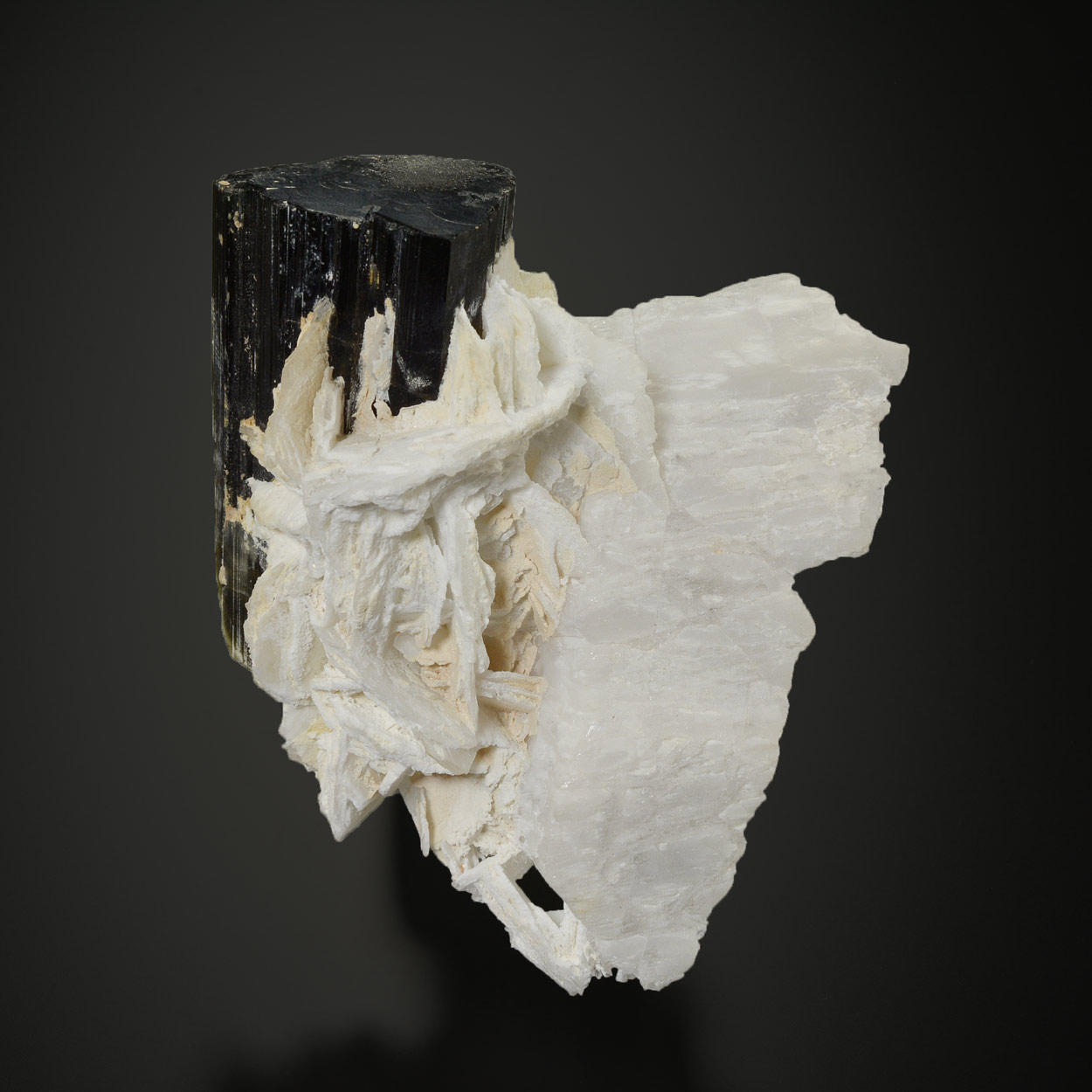 Tourmaline Sur Albite
