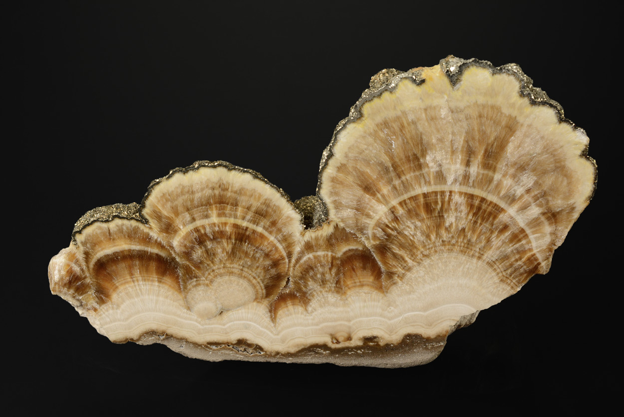 Baryte Et Chalcopyrite